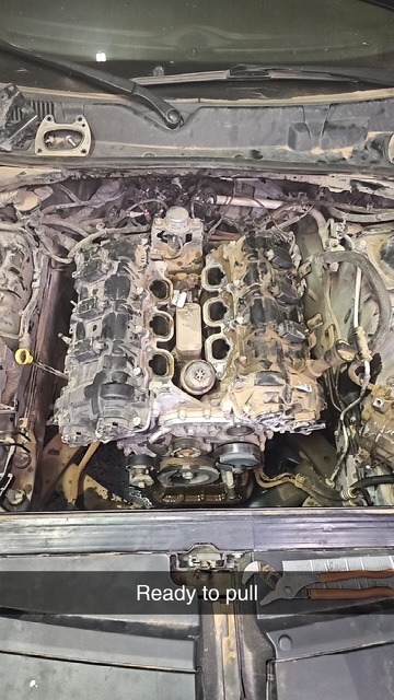 Professional mechanic at work